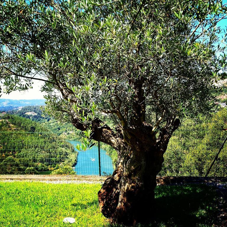 Quinta das Tílias Douro Valley Cabaca Esterno foto